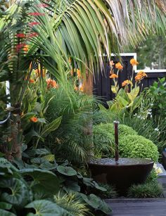 a garden filled with lots of different types of plants