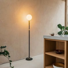 a lamp that is sitting on top of a wooden shelf next to a potted plant