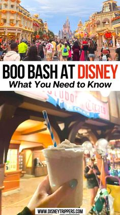 Boo Bash at Disney - What You Need to Know Disney Boo, Disney Halloween Party, Disney World Itinerary, Disney World With Toddlers, Disney Halloween Parties, Boo Bash, Disney World Packing, Disneyland Secrets, Disney World Rides