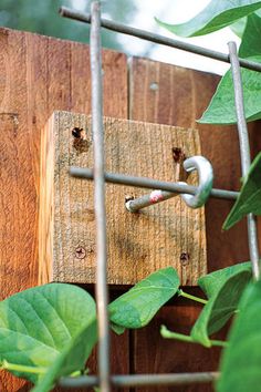 a close up of a wooden fence with plants growing on it and some metal bars sticking out of the wood