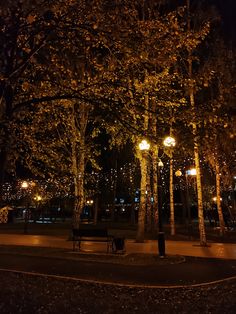 an empty park at night with street lamps and trees