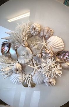 a white plate topped with shells and seashells