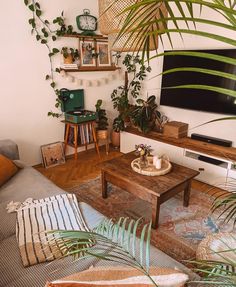 a living room filled with furniture and lots of plants on top of the tables in front of the tv