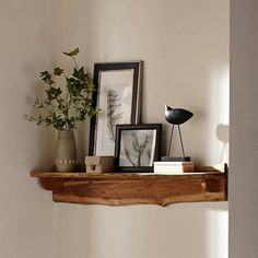 a shelf with some pictures and plants on it