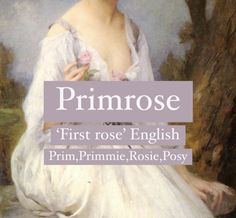 Baby girl name Primrose. Princess flower name. Primrose Name Meaning, Primrose Name, Flower Names Aesthetic, Flower Nicknames, Primrose Meaning, Rose Name Meaning, Prim Rose Flower, Flower Names And Meanings, Primrose Aesthetic