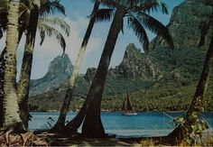 there is a sailboat in the water near some palm trees and mountain range behind it