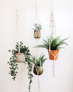 several hanging plant pots with plants in them