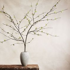 a white vase with green flowers in it sitting on a wooden table next to a wall