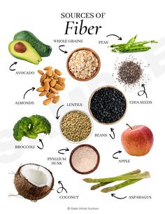 Sources of Fiber Handout — Made Whole Nutrition — Functional Health Research + Resources Nutritionist Branding, Holistic Nutrition Recipes, Balanced Recipes, Nutrition Therapy, Link Edit, Nutrition Coaching, Healthy Food Facts