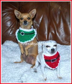 two small dogs wearing christmas sweaters sitting on a couch in front of a brown leather chair