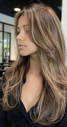 From Light Brown To Blonde Hair, Haircuts For Light Brown Hair, Blended Light Brown Hair, Hair Inspo Brown And Blonde, Highlights Brown Hair Sunkissed, Long Brown Blonde Hair, Blonde To Brown Hair Color, Hair Inspo For Brown Hair, Brown Hair With Dimensions