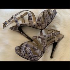 Moda Snake Skin Print Strappy Around Ankle Women’s Stiletto High Heels Nwot Size 6.5 Moda Snake Skin Print Strappy Around Ankle Tie Women’s Size 6.5 Nwot Stiletto Heel Approx 4.5” Heel Brand New Never Been Worn (Only Wear Is Where Tag Was, Pls See Last Photo) Tie Women, High Heels Stilettos, Snake Skin, Stiletto Heels, High Heels, Black And Grey, Heels, Women Shopping, How To Wear