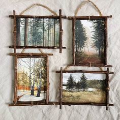 four frames hanging on a wall with rope around them and pictures of trees in the background