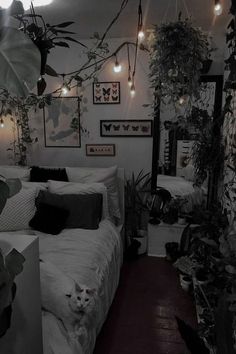 a cat is sitting on the bed in this dark room with hanging plants and lights