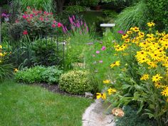 a garden filled with lots of different types of flowers