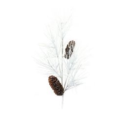 two pine cones are placed next to each other