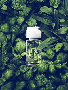 a bottle of perfume surrounded by green leaves