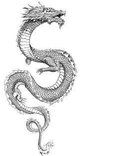 a black and white drawing of a dragon