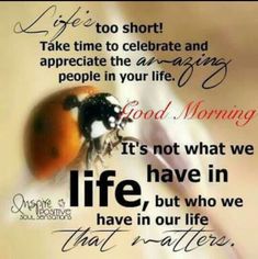 a ladybug sitting on top of a table next to a quote that reads, life is too short take time to celebrate and appreciate the amazing people in your life