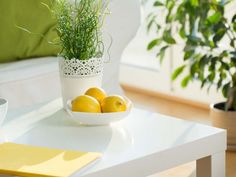 two lemons in a white bowl on a table next to a potted plant