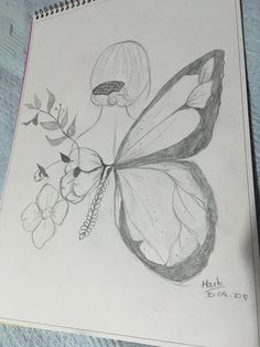 a pencil drawing of a butterfly and flowers