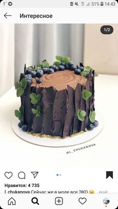 a chocolate cake with blueberries and green leaves on top is displayed in an instagram