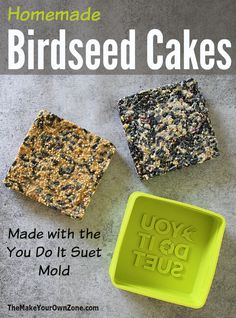 homemade bird seed cakes made with the you do it suet mold