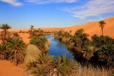 palm trees and water surrounded by sand dunes in the sahara, egypt with blue sky