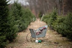 a baby's stroller in the middle of a christmas tree farm