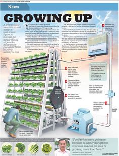 the growing up system is shown in this magazine, with instructions on how to grow lettuce