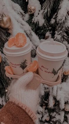 two cups of coffee sitting on top of a snow covered tree