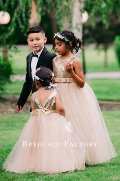 Flower Girl Dress | Sequined Pearl Pink A-Line Flower Girl Gown Puffy Skirt, Tulle Flower Girl, Pearl Pink, Floor Length Skirt