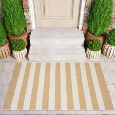 three potted plants are on the front porch with a beige and white striped rug