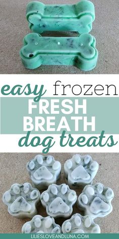 an easy frozen fresh breath dog treats recipe