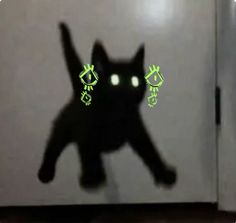 a black cat with glowing eyes jumping up into the air in front of a refrigerator