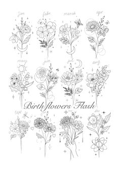 a drawing of flowers with the words birth flower flash