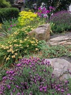 a garden filled with lots of different types of flowers and plants next to large rocks