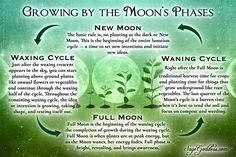 the phases of growing by the moon's phases