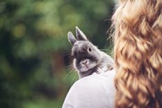 a woman is holding a rabbit in her arms while she looks at the other side