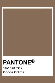 Mocha Brown Color Palette, Pantone Neutral Colors, Mocha Colour Palette, Light Brown Pantone, Mocha Color Palette, Pantone Brown, Beige Pantone