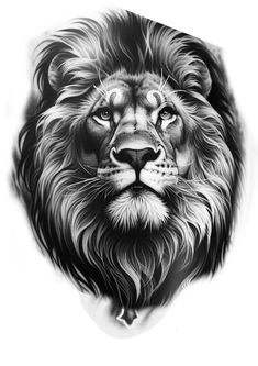 a black and white drawing of a lion's face