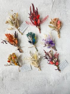 a bunch of dried flowers sitting on top of a white cloth covered table next to each other