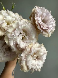 a vase filled with white flowers on top of a table