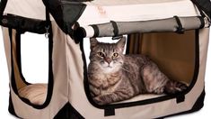 a cat laying inside of a pet carrier