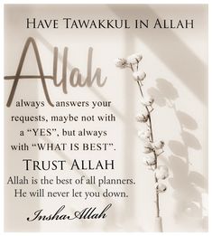 an islamic quote with flowers and the words, have tawakul in allaah