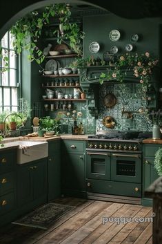 a kitchen with green walls and wooden flooring, potted plants on the shelves