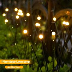 some lights that are glowing in the grass