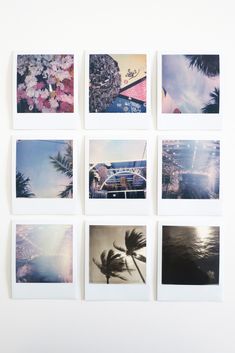 six polaroid photographs are arranged on a white wall with palm trees in the foreground