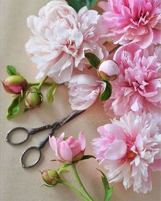 pink flowers and scissors on a table