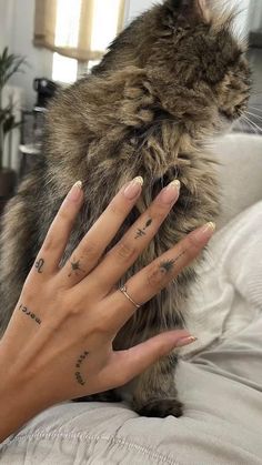 a woman's hand with tattoos on her fingers next to a cat that is sitting on the couch